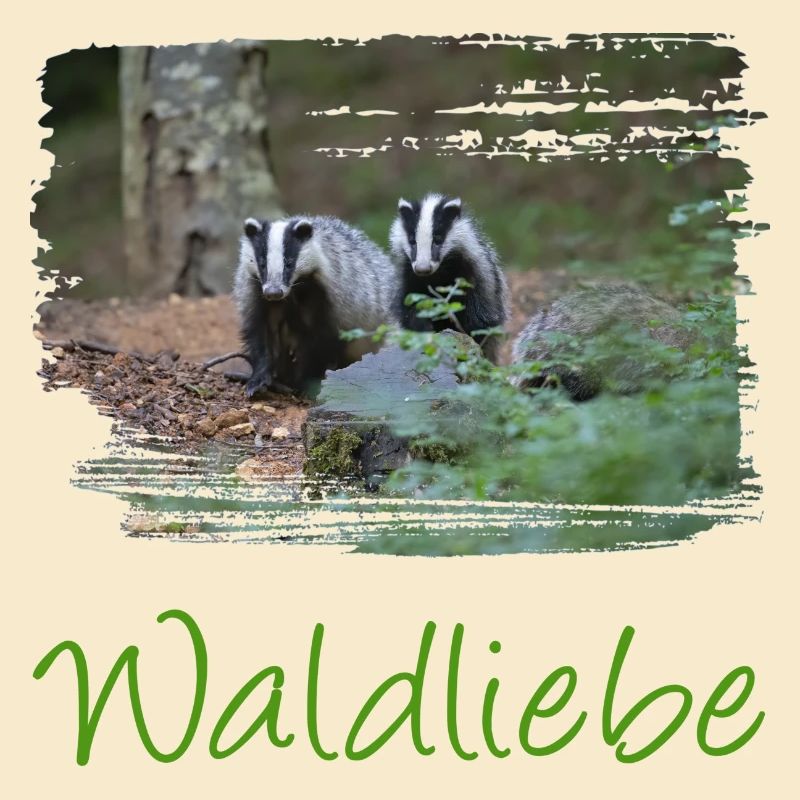 wald 57 mit dachs