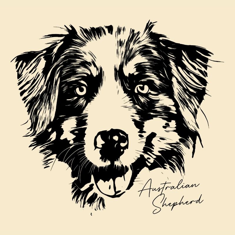 Australian Shepherd