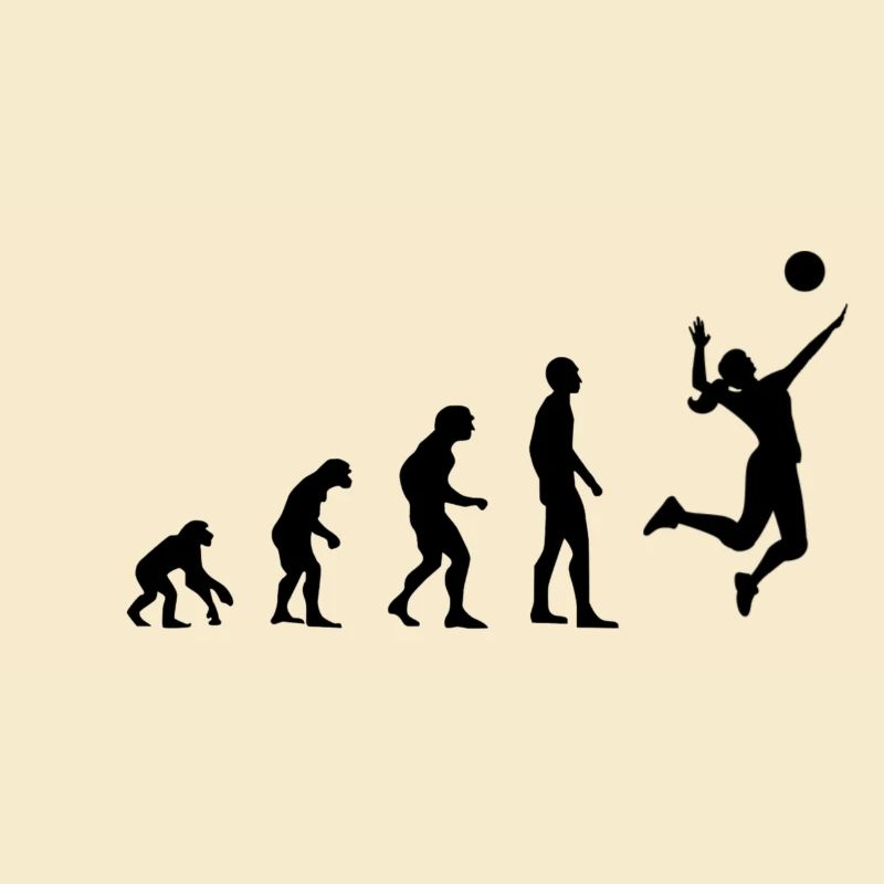 Evolution Volleyball