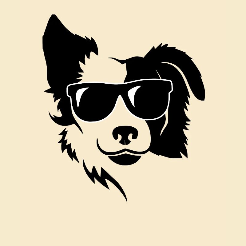 Hund cool lustig Urlaub Mischling Sonnenbrille