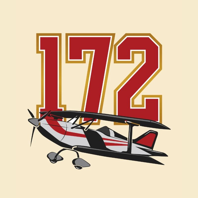 Plane 172