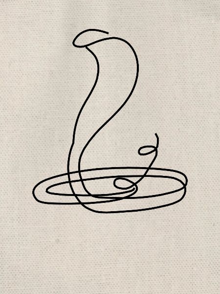 Cobra Cobra