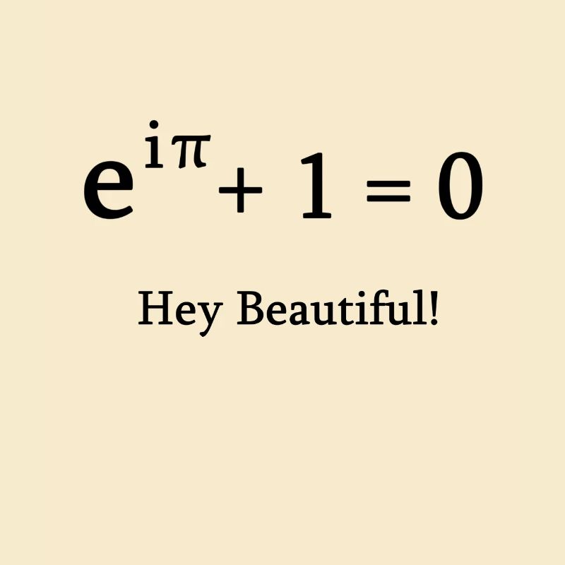 Euler identité math mathématicien nerd science pi