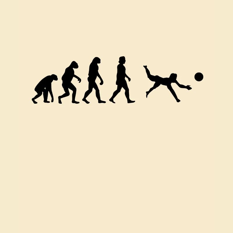Volleyball Evolution Beach VolleyballEr Gift