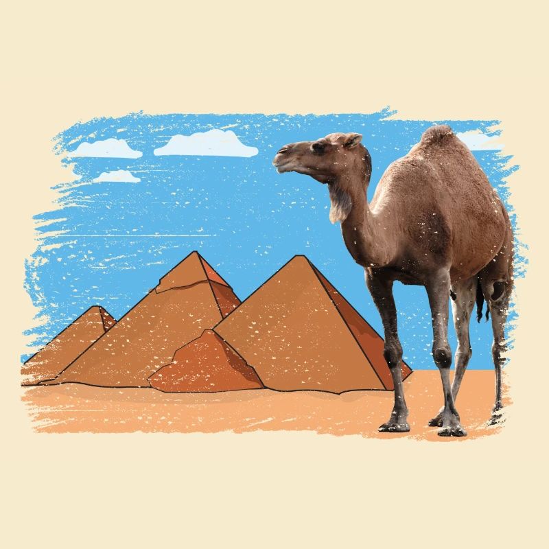 Chameau devant les pyramides