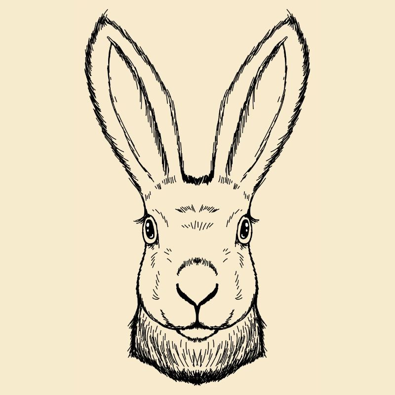 Rabbit drawn, handmade, Easter