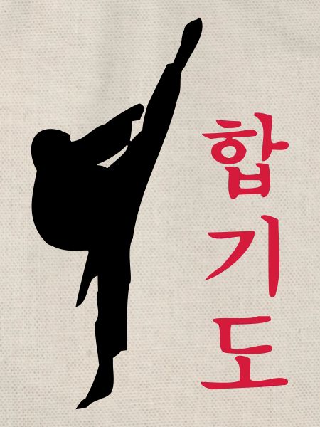Hapkido Kick