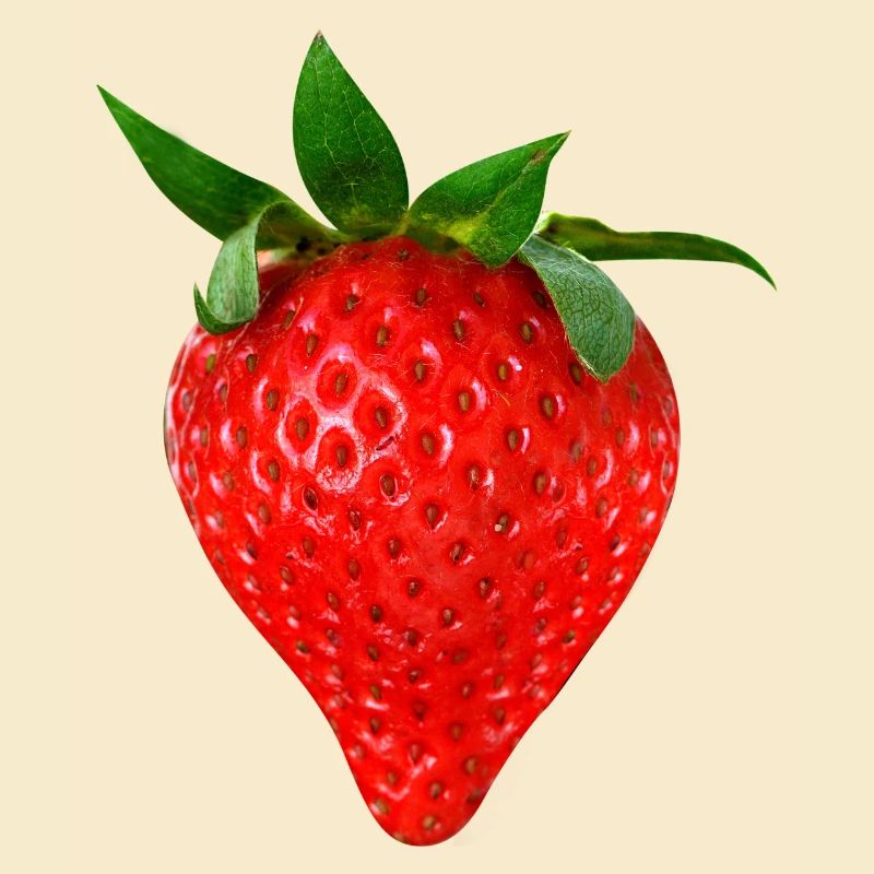 Strawberry Fruit Strawberry Fruit Fruit Fruit Fruits