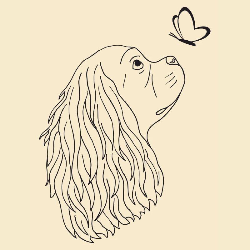 Cavalier King Charles Spaniel
