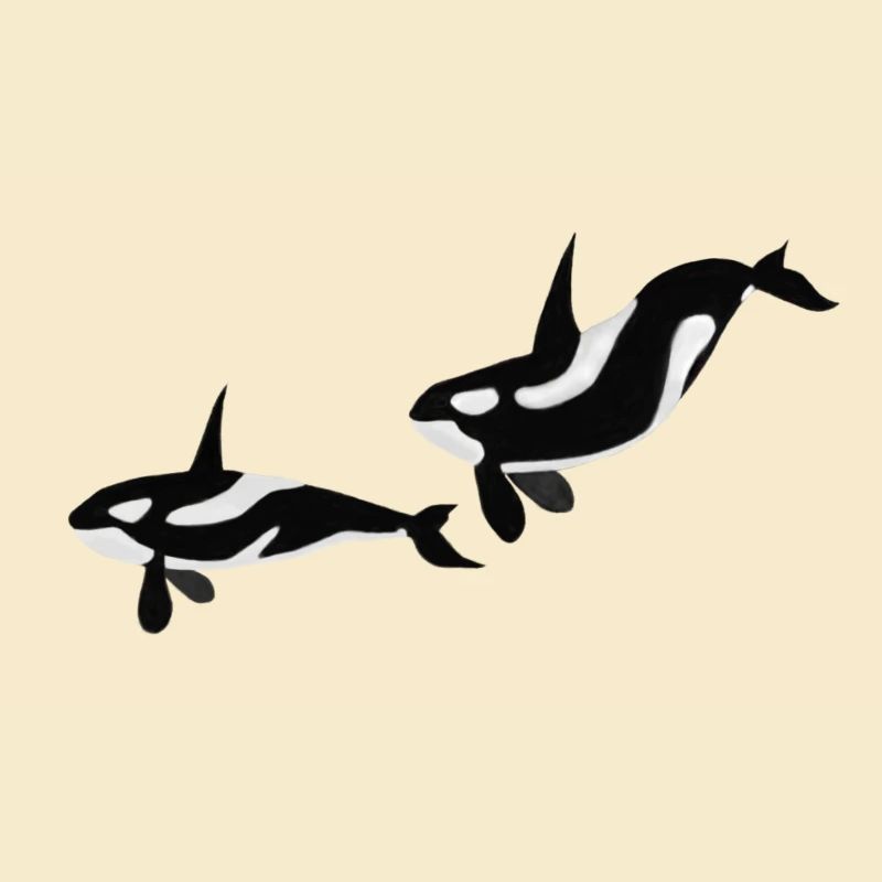 Orcas