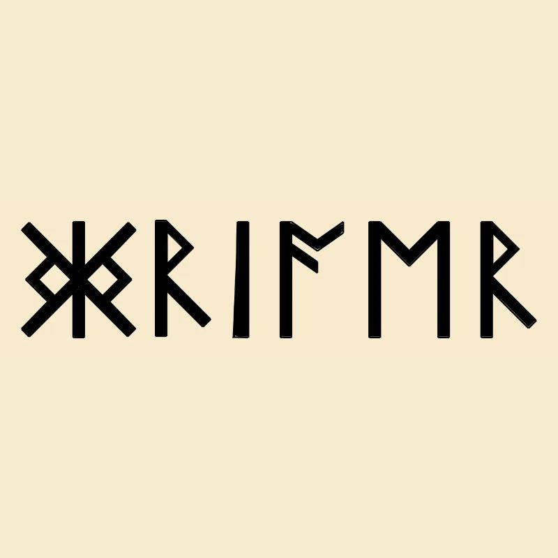 Warrior Runes Scripture Germanique Celtes Viking