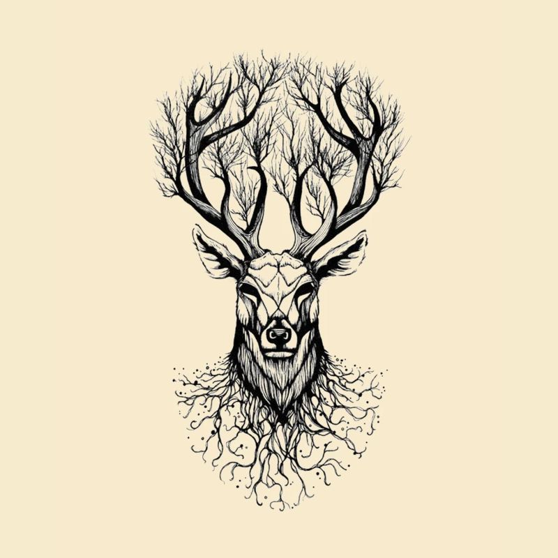 Hirsch