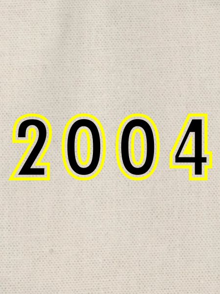 2004 Year Birthday
