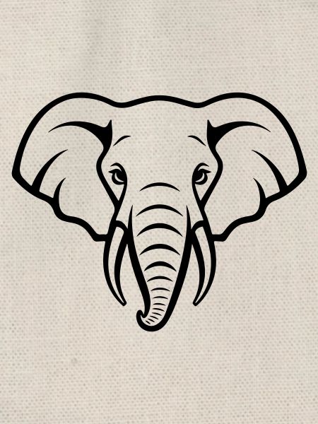 Elefant Kopf
