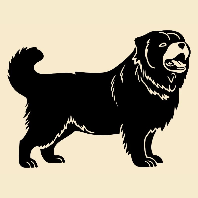 Chow Chow Dog