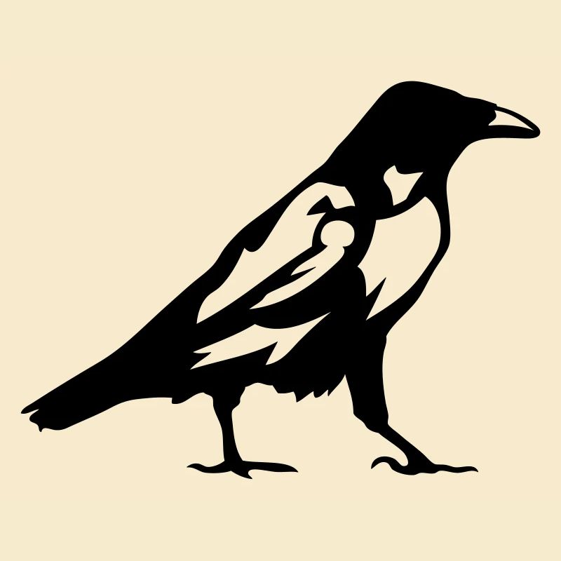 birds raven 1