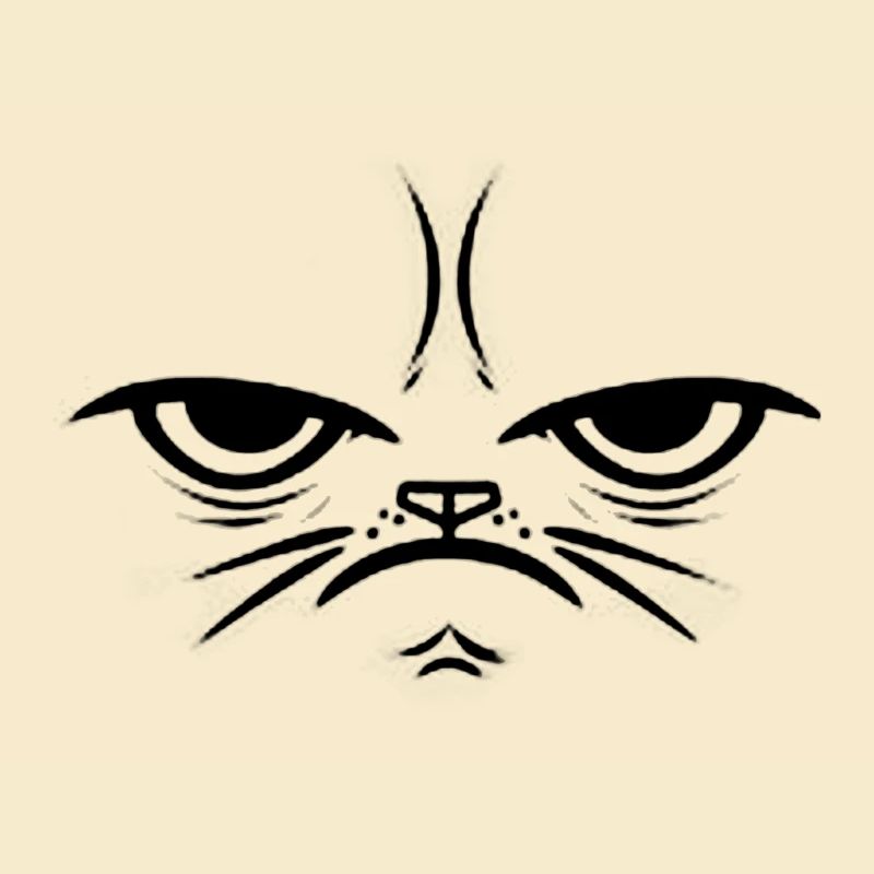 Crumpy Cat - Gift Gift Idea Face