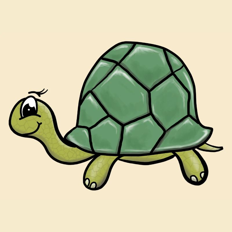 Turtles