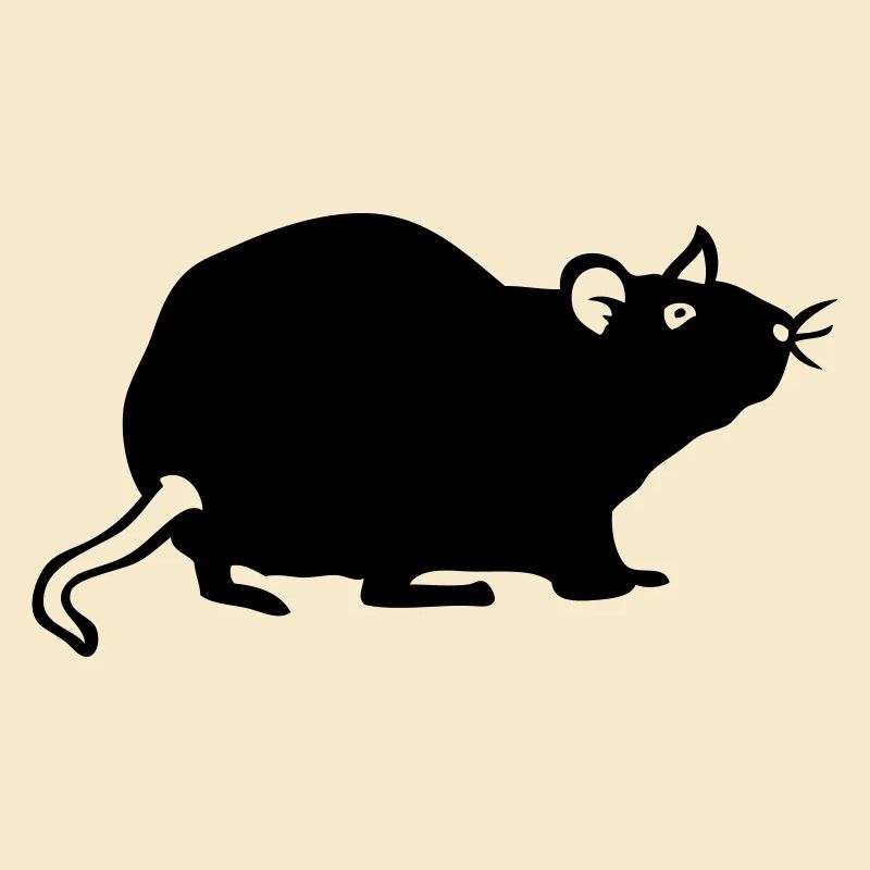 Ratte