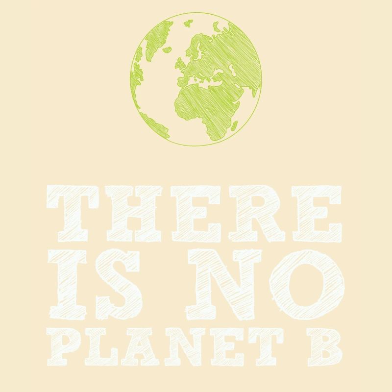 Fridays for Future - There is no Planet B