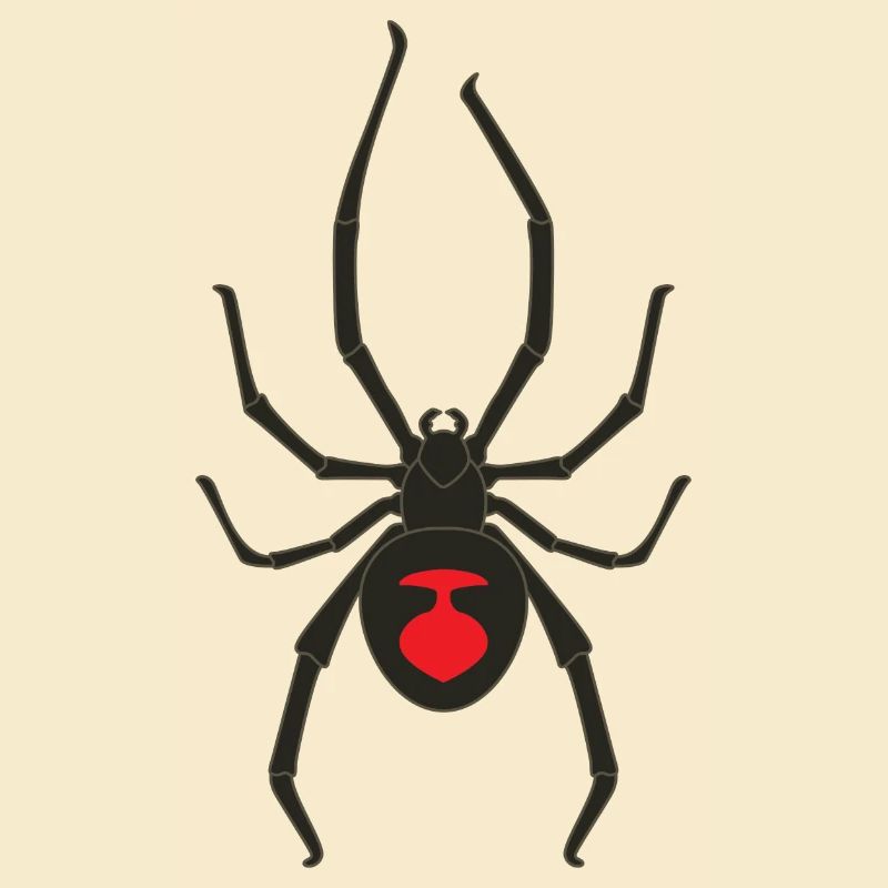 Black widow