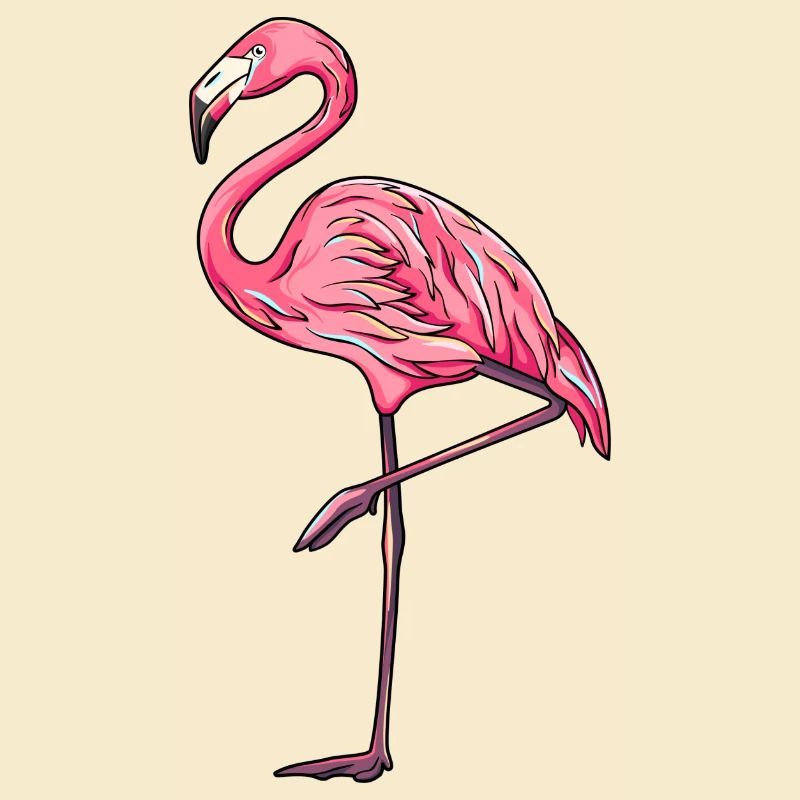 Flamingo