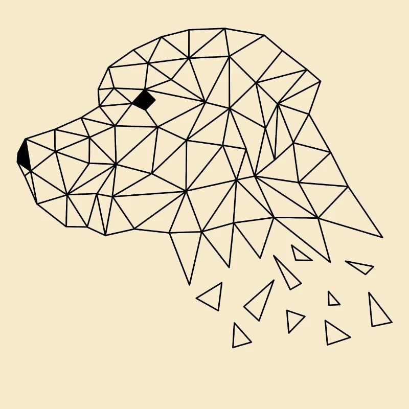 Labrador (dog)