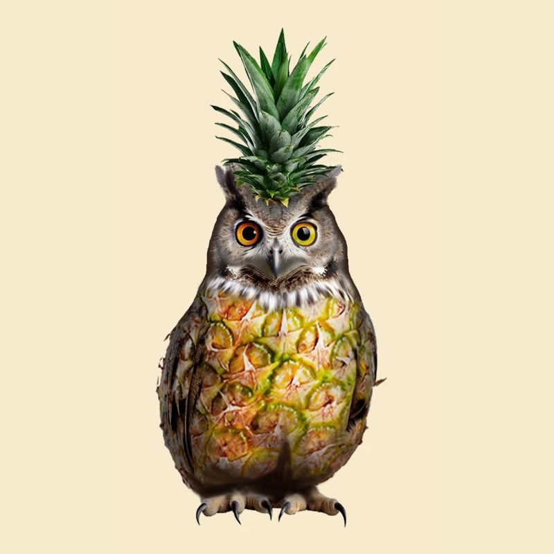 Owl Pineapple