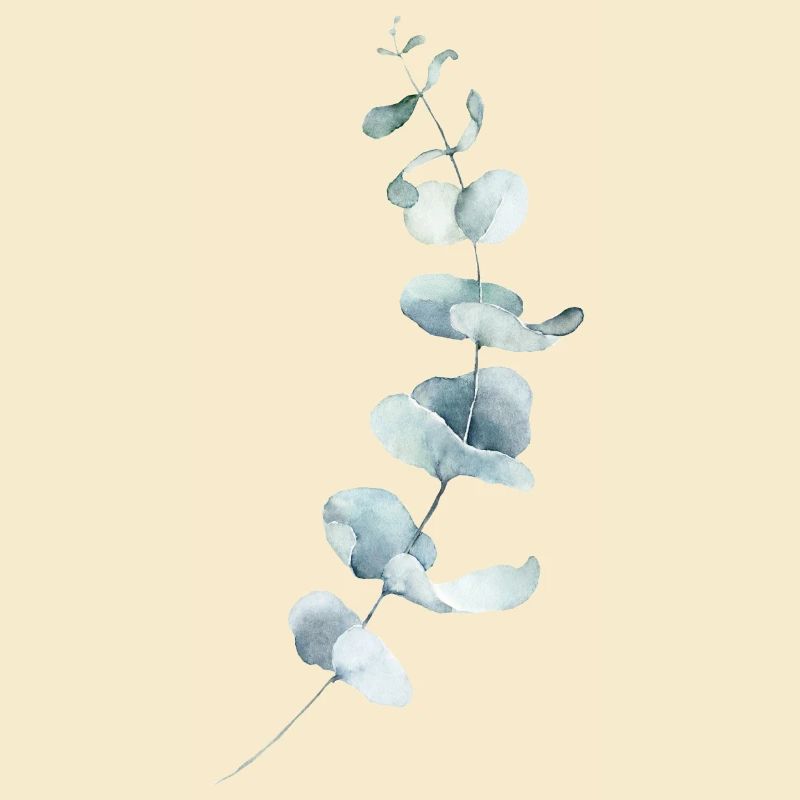 Eucalyptus
