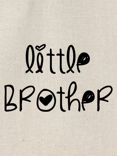 Little Brother