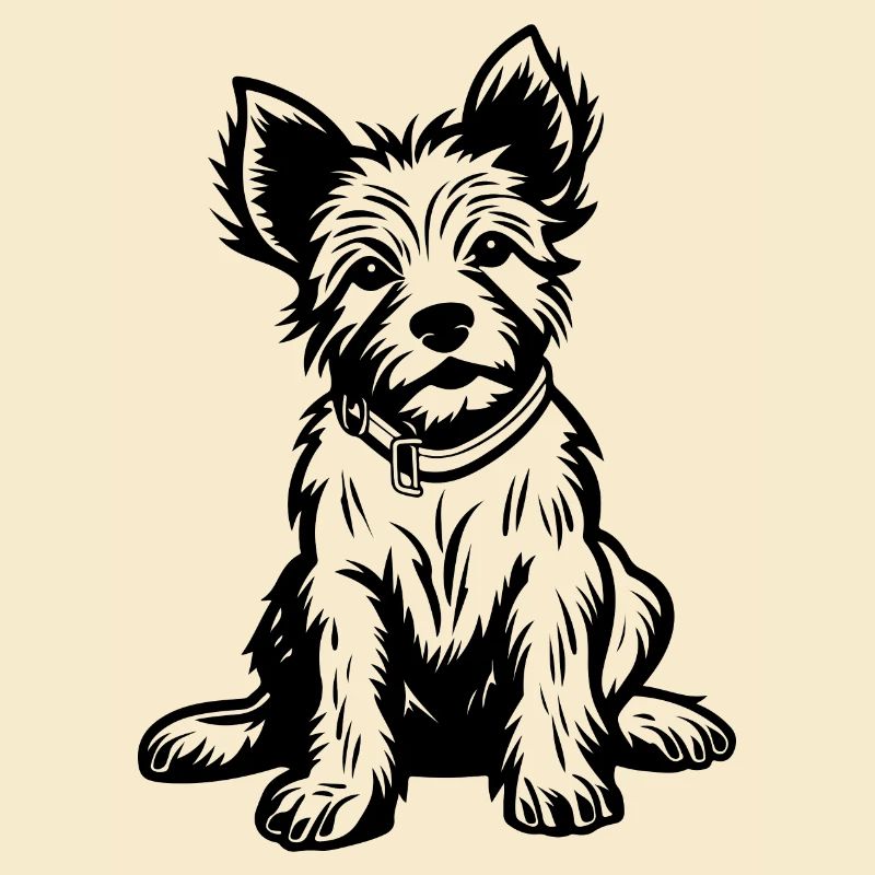 Yorkshire Terrier Hund