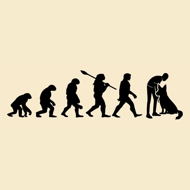 Evolution Funny Belgian Shepherd Dog Malinois