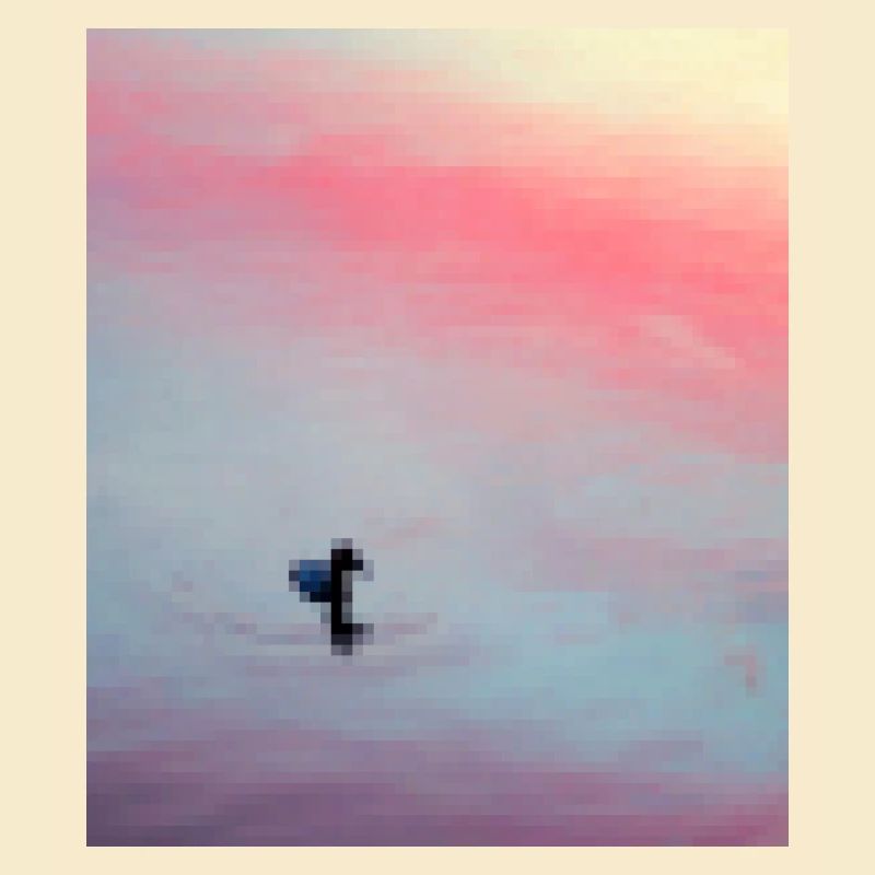 canard pixélisé