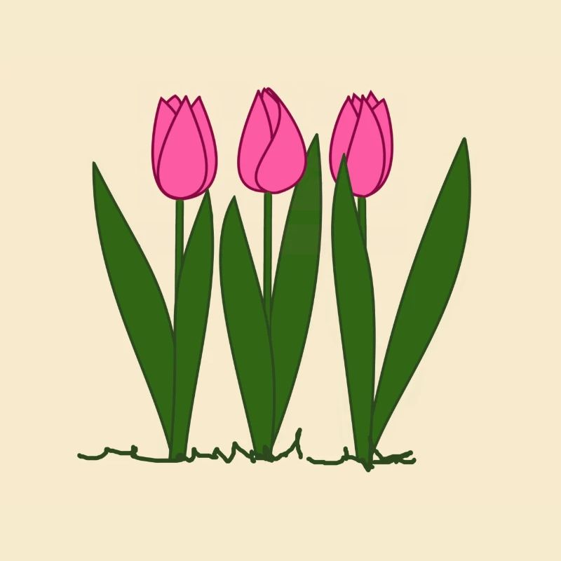 Pink tulips, spring, spring