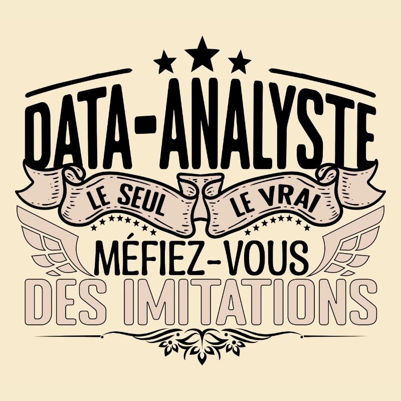 Data Analyste cadeau Data Analyste le vrai Data An