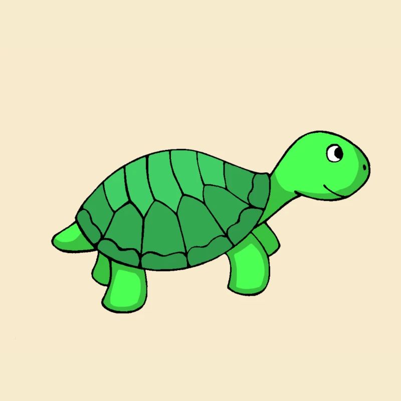 Bild Schildkroete bunt