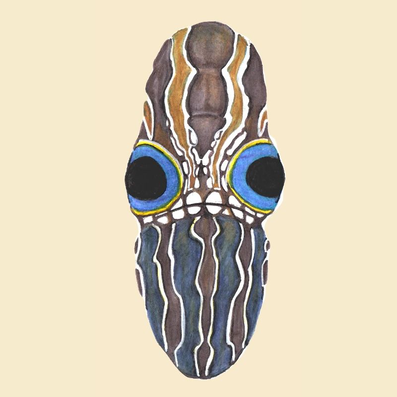 moth