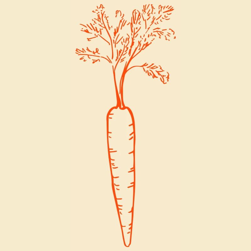 carrot