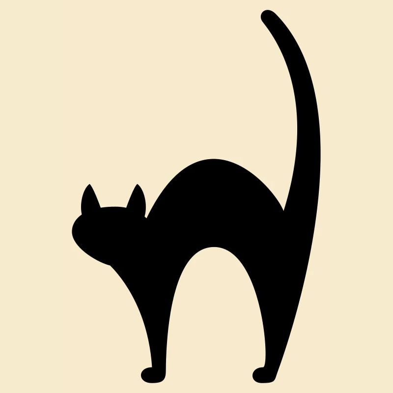 Schwarze Katze