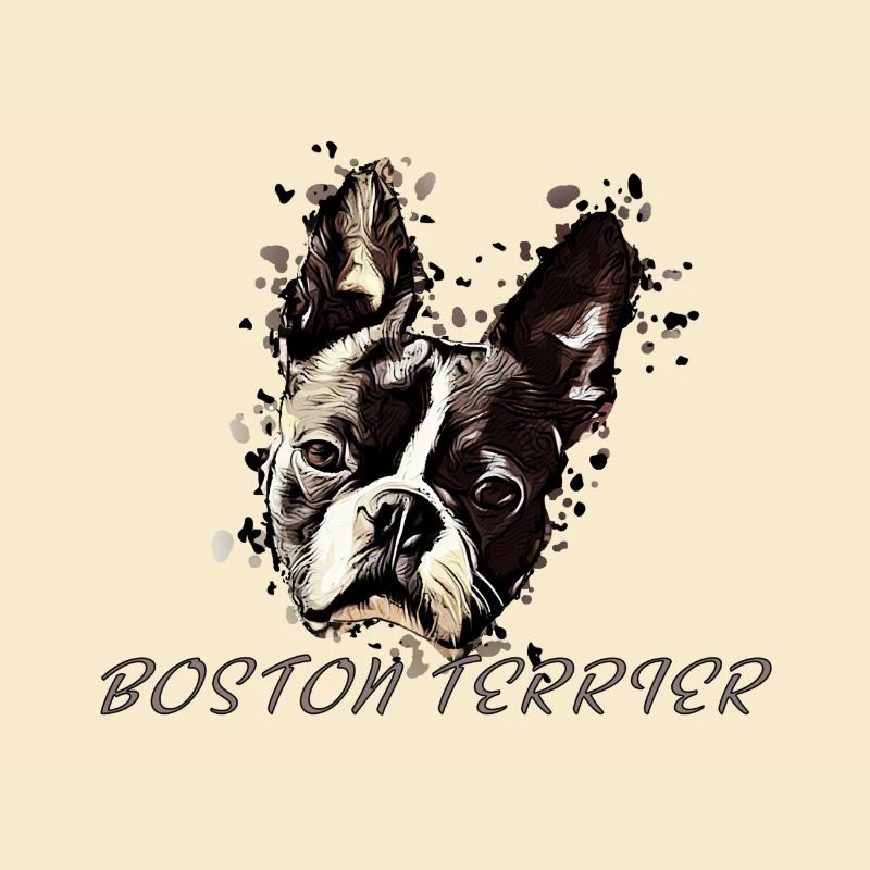 Boston Terrier Comic