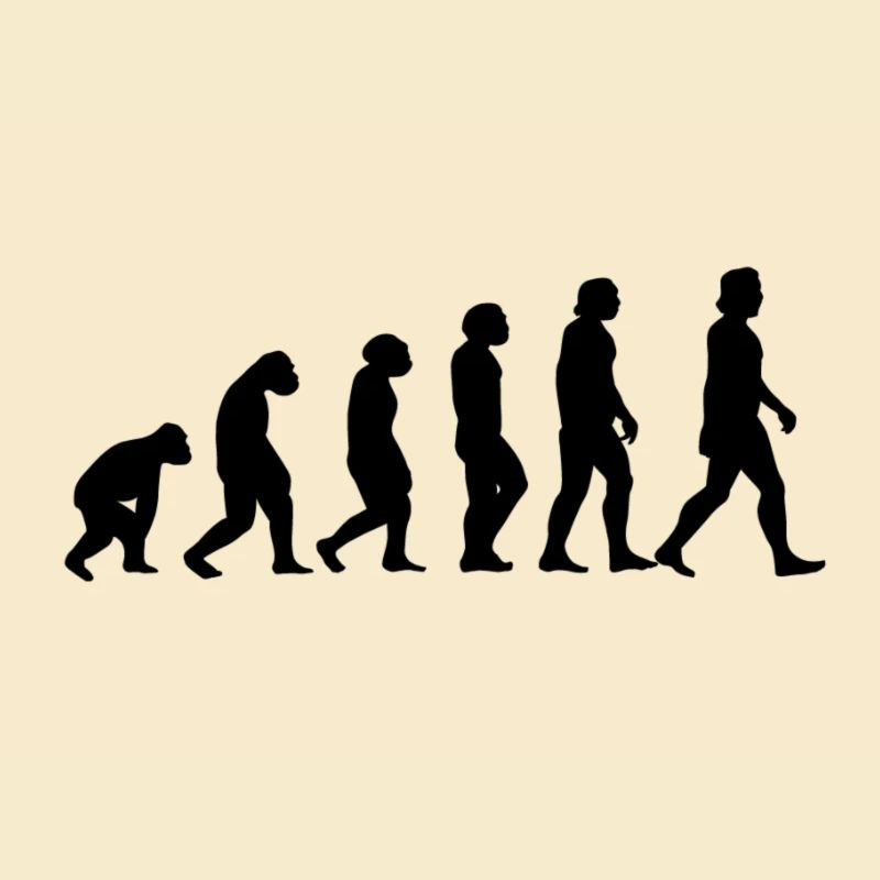 Evolution monkey to man