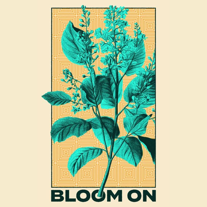 Conception de la flore et de la faune