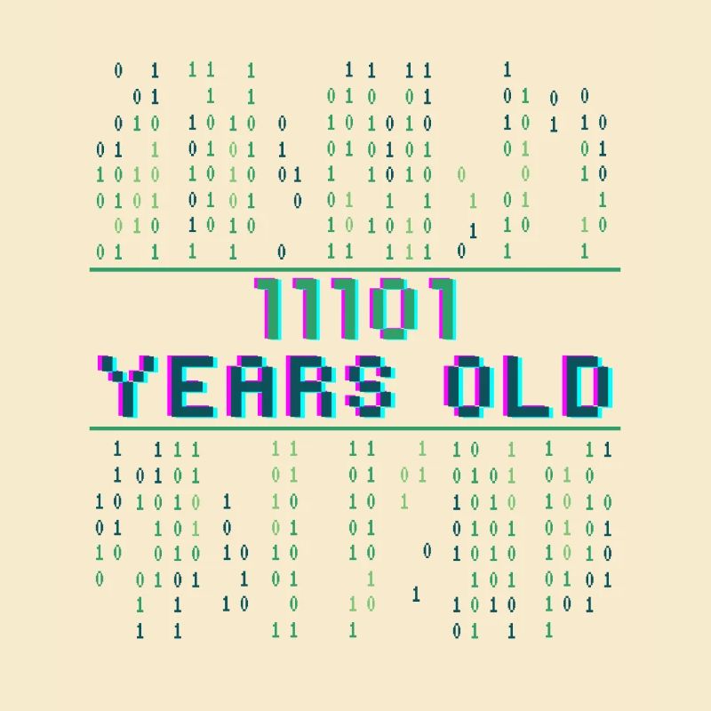 29th Birthday 29 years old Binary Code Coder