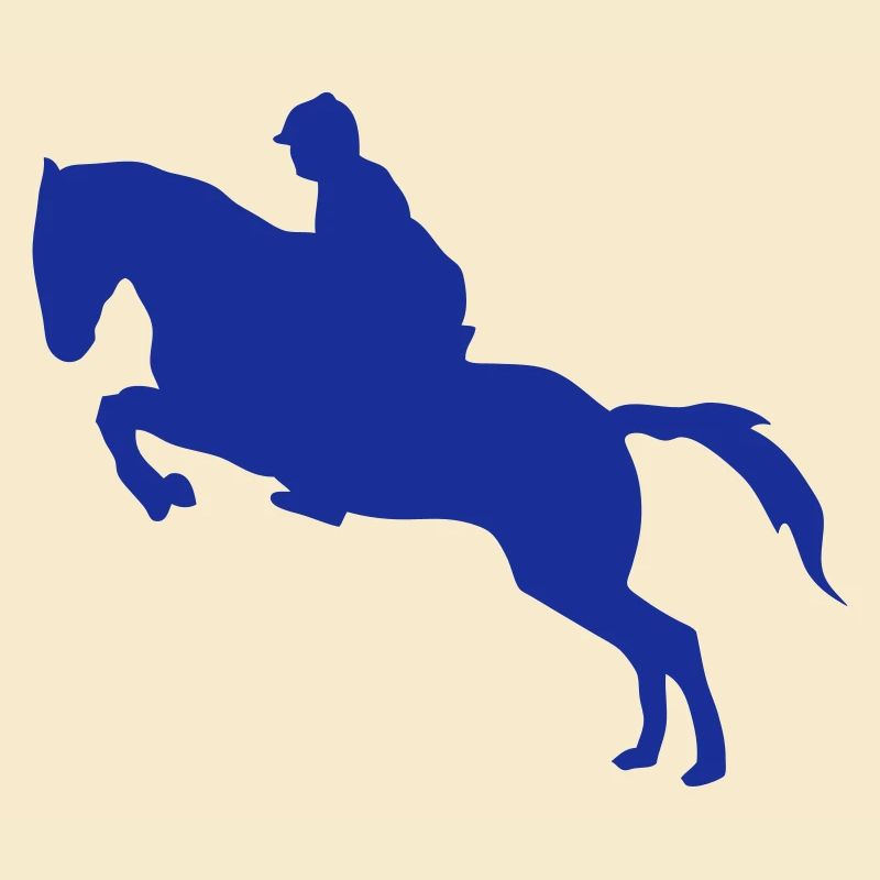equitation cavalier obstacle cheval saut