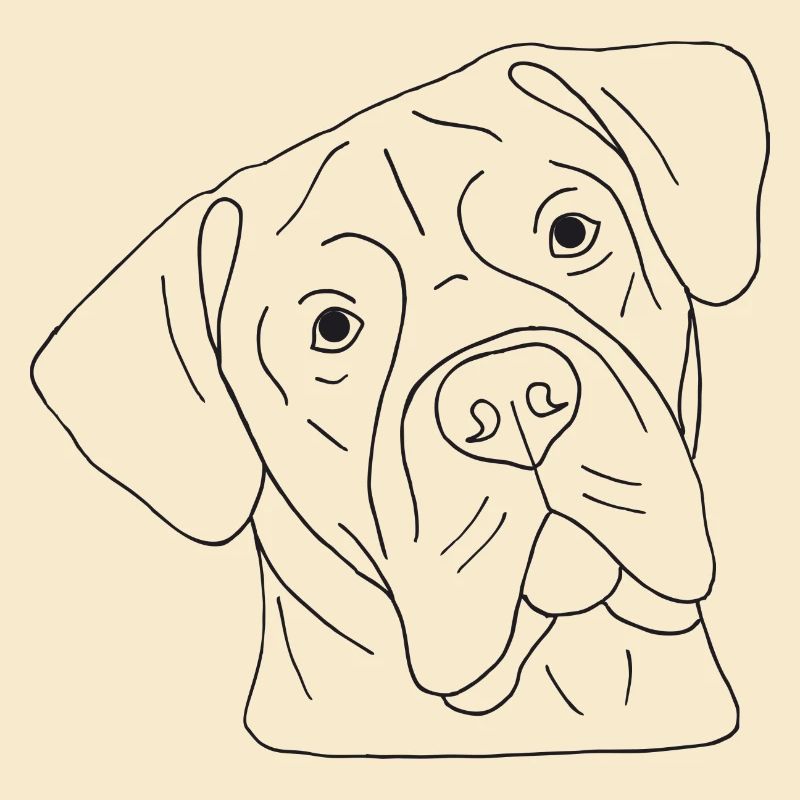 Cane Corso