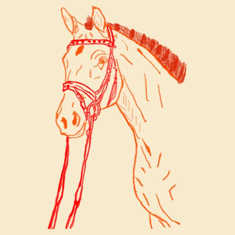 Pferd