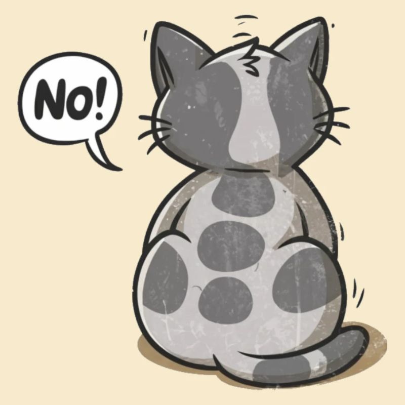 Nein! Katze