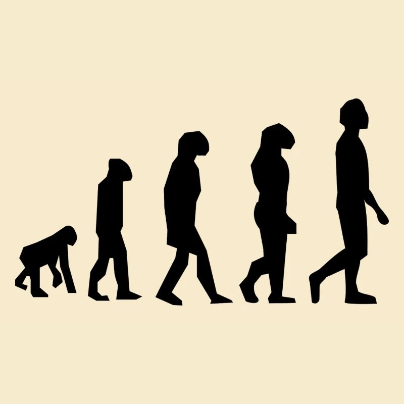 Evolution des Menschen