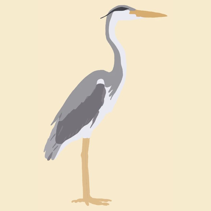 grey heron