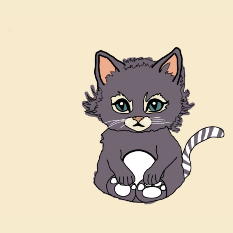 Katze